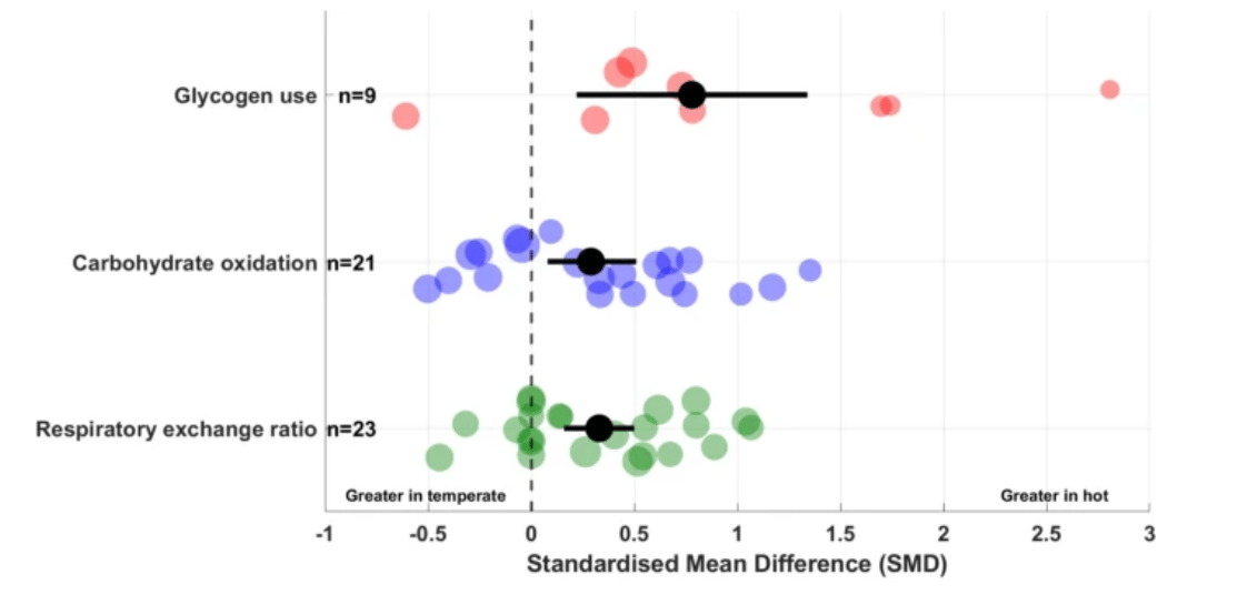 Does Running In The Heat Burn More Carbs? 1