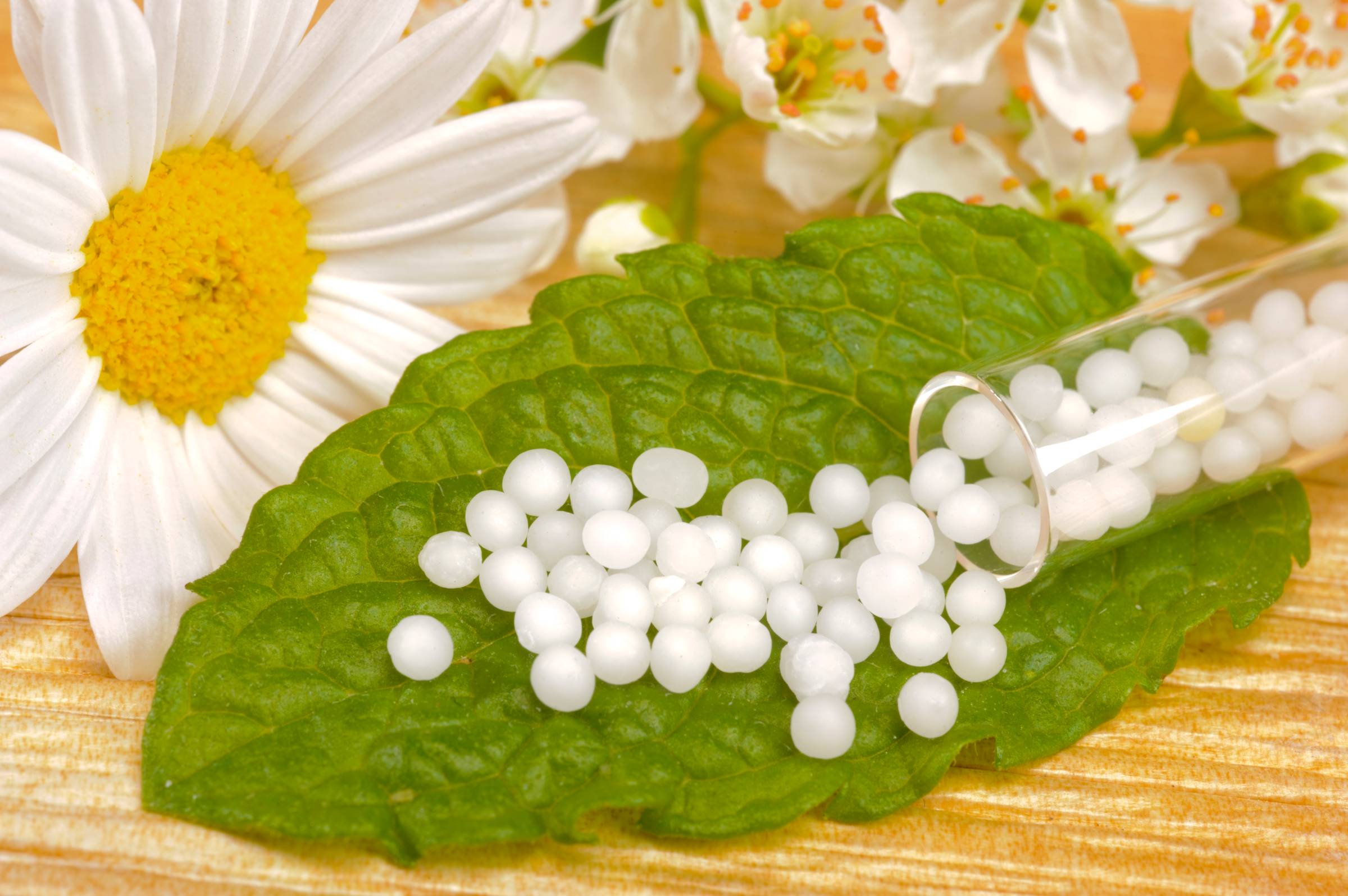 Homeopathic remedies (globules) on a green leaf next to a chamomile flower.