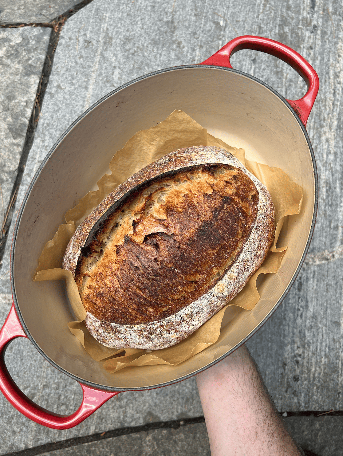 a loaf of sourdough in a dutch oven