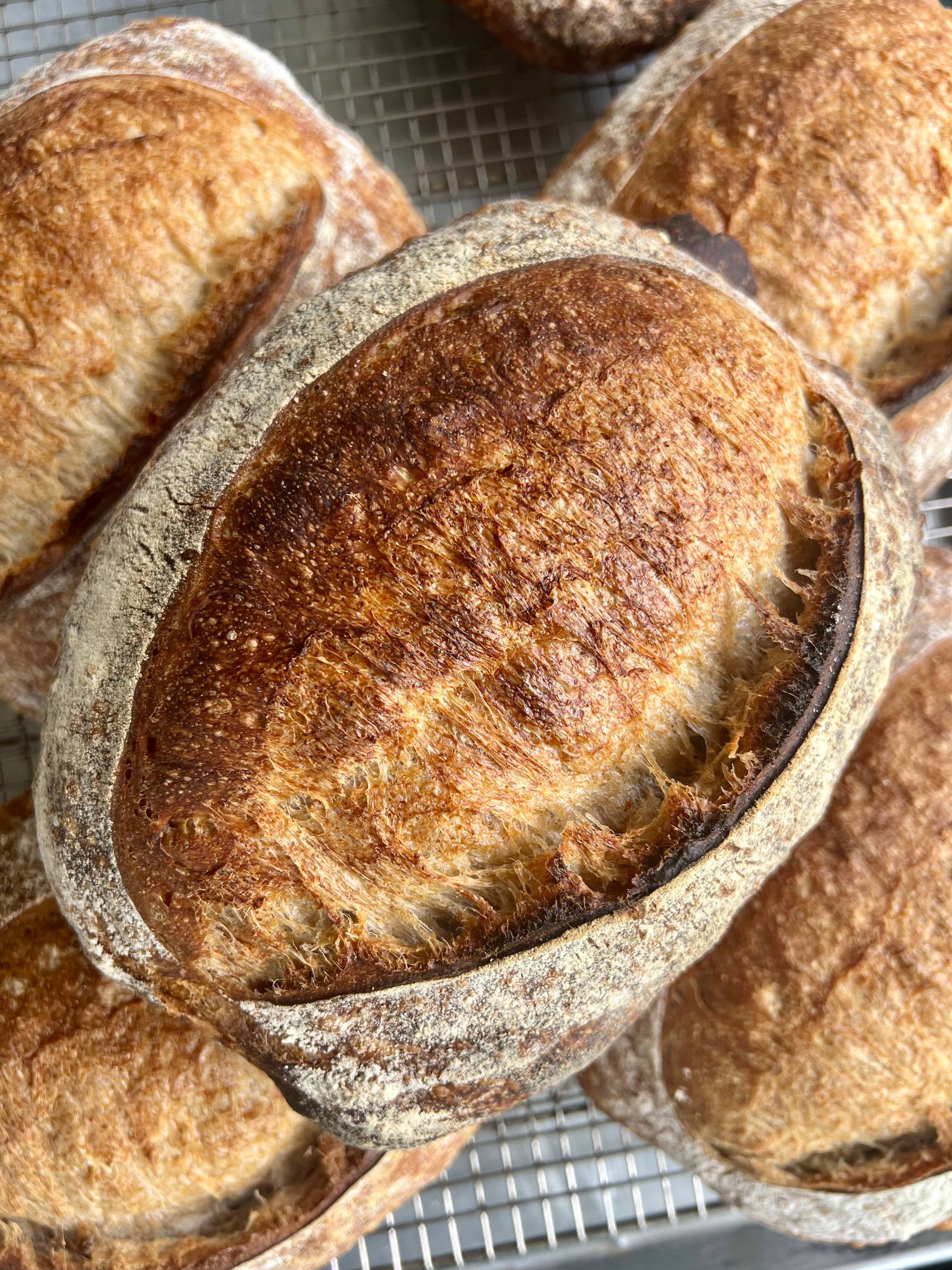A loaf of sourdough bread