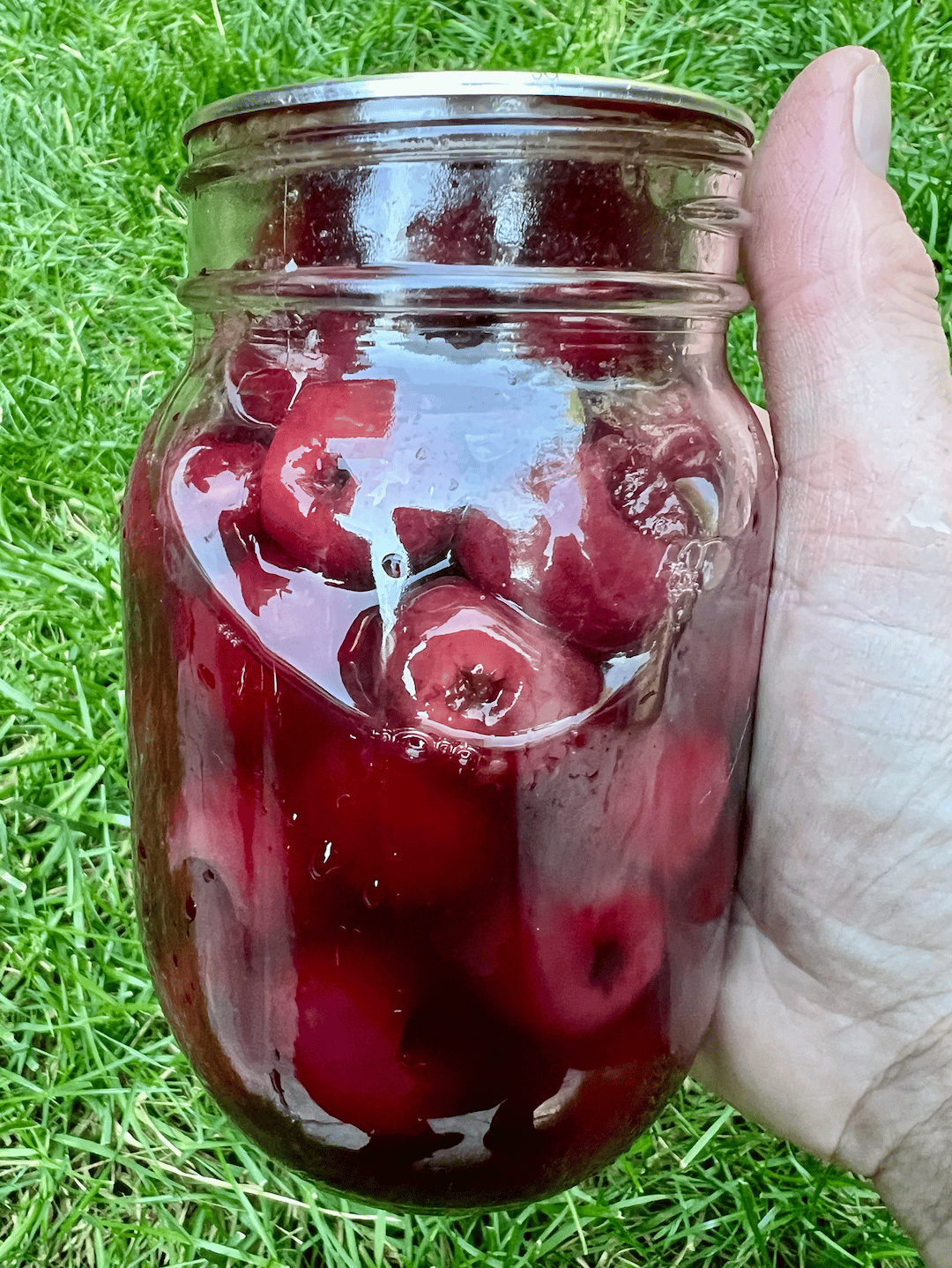 a jar of brandied cherries 