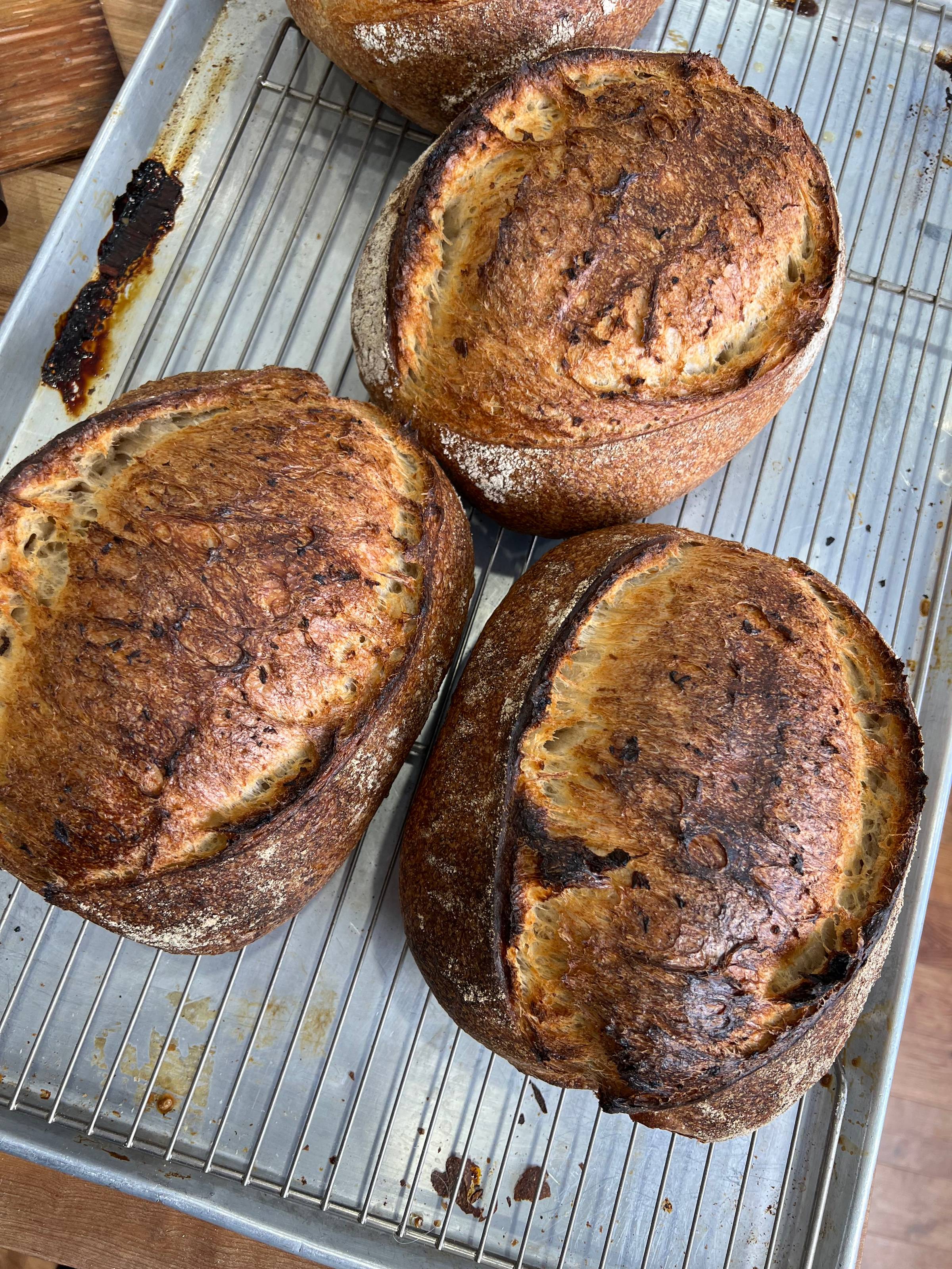 Oat porridge sourdough 
