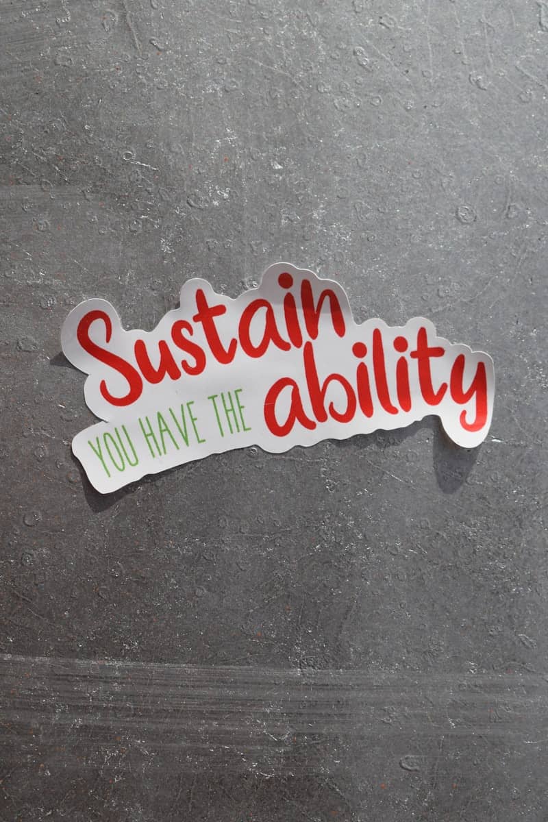 a sticker that says, susan ability you have the ability