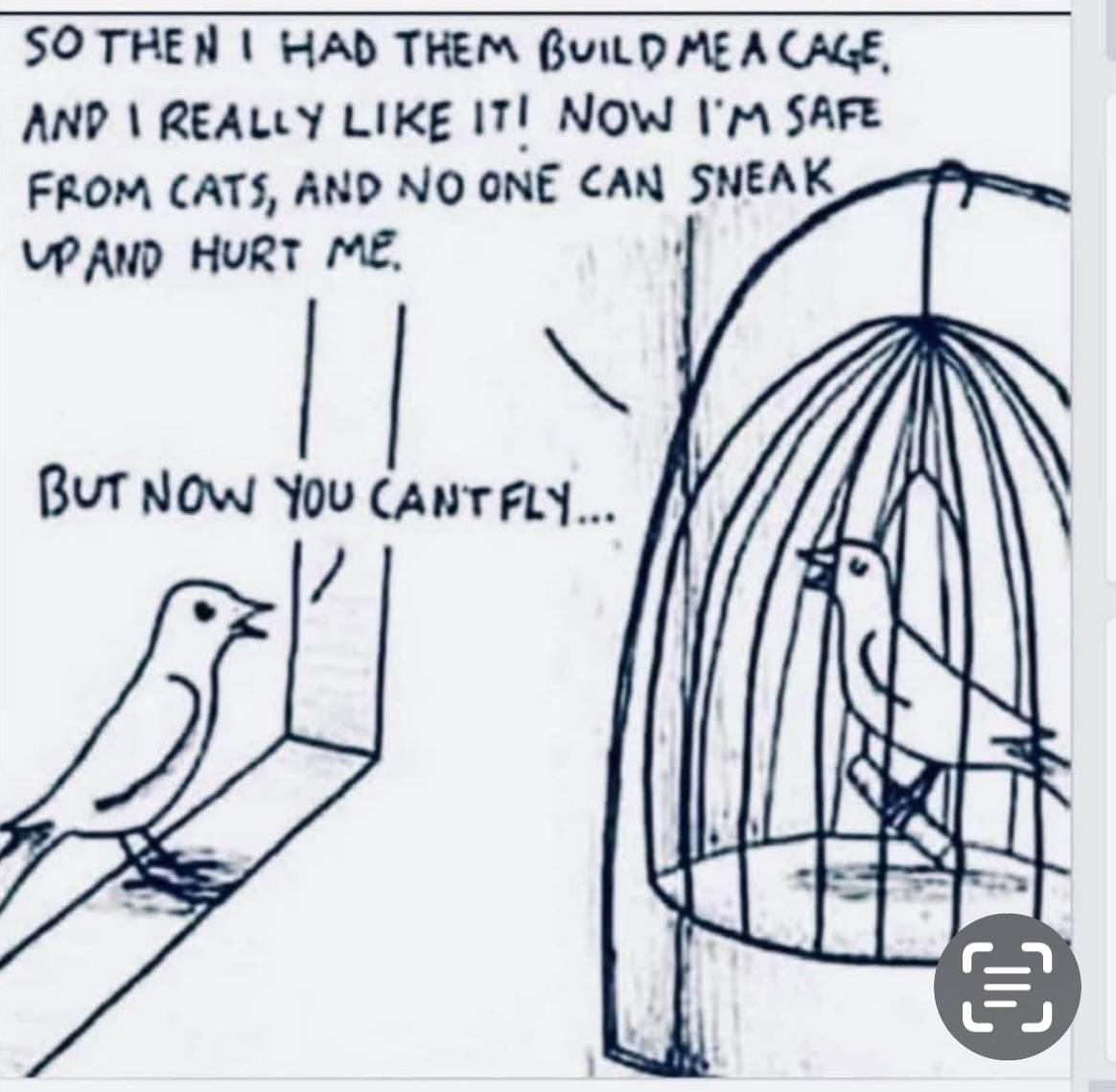 Freedom