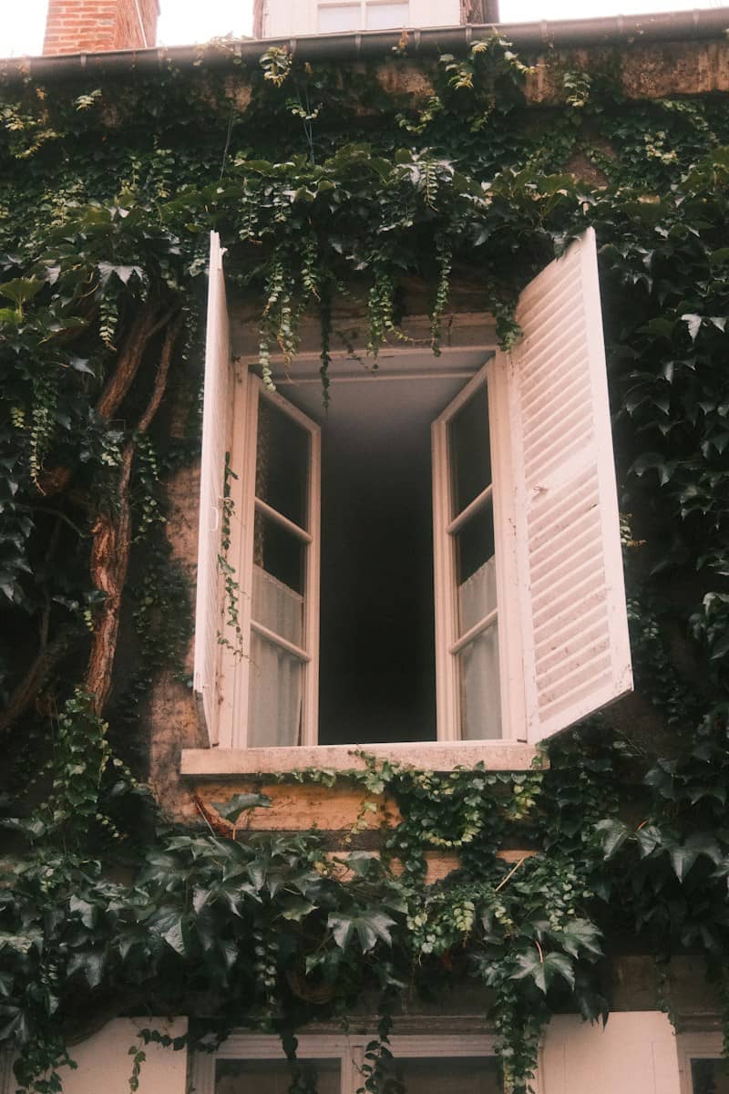 An open window with white shutters 