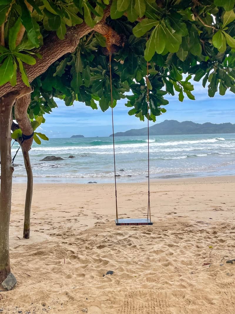 A swing hangs on a beautiful beach.