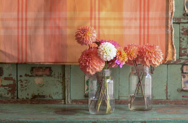 dahlias and plaid fabric