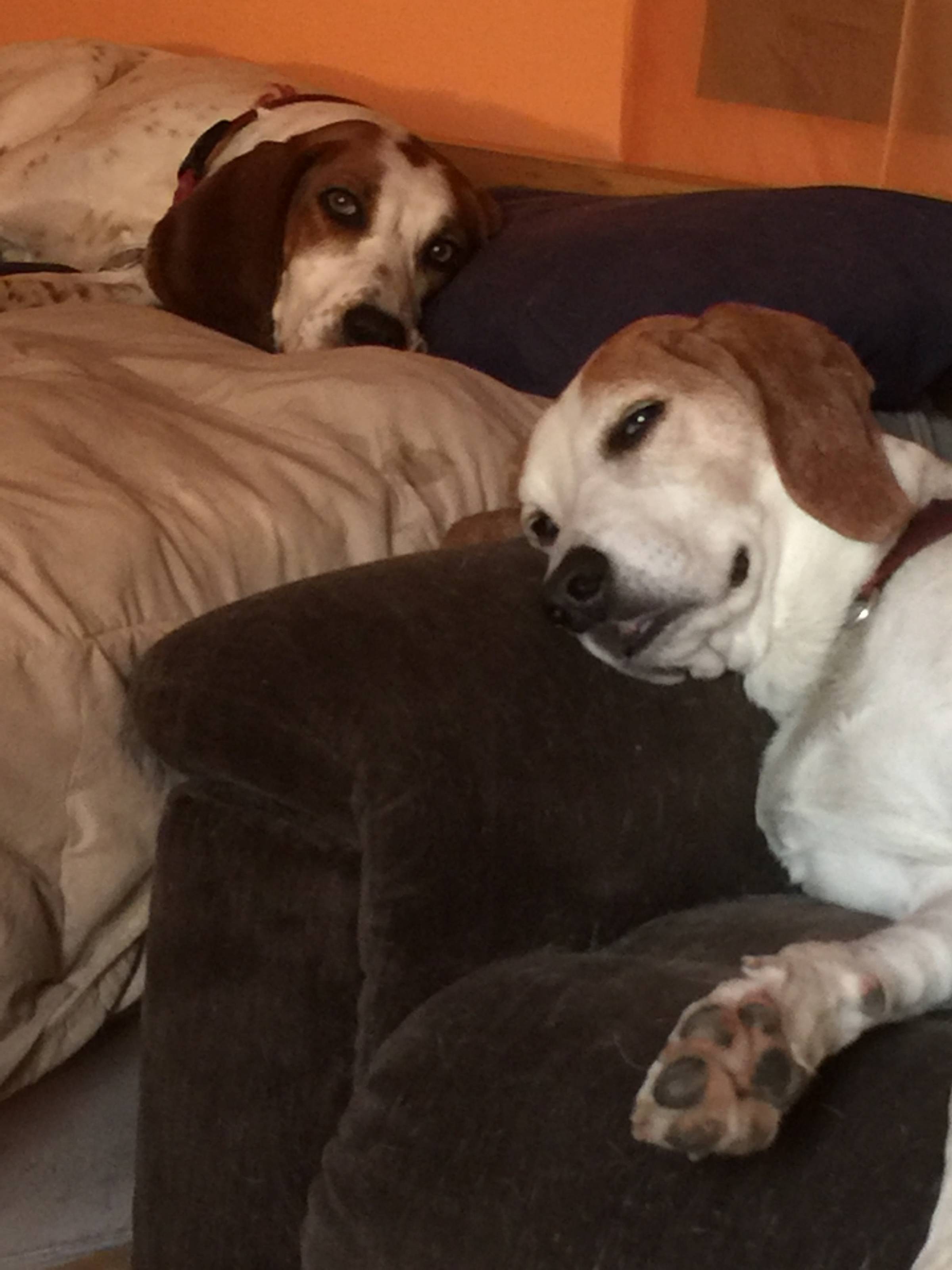 Safe from any Nor'easter storms!