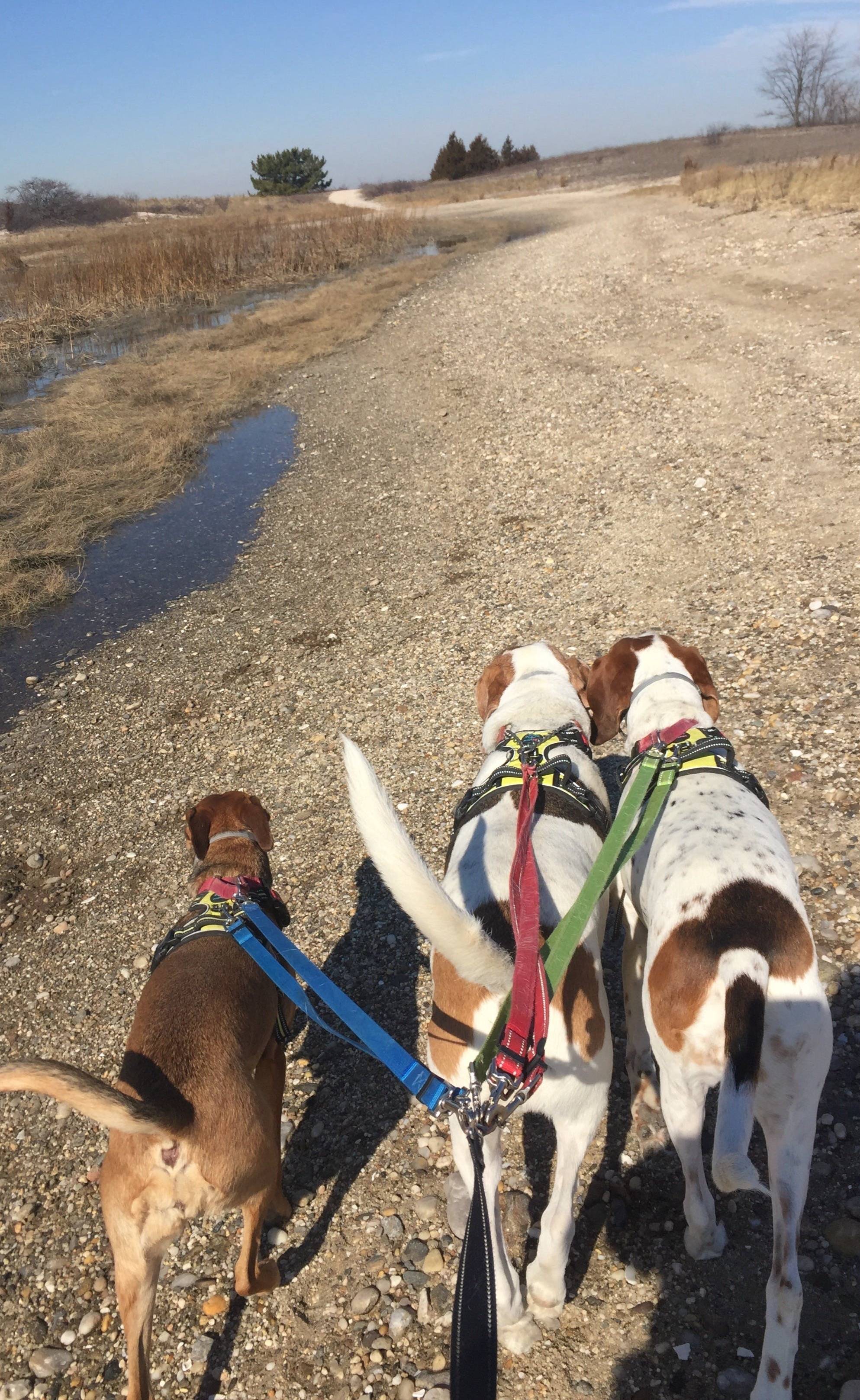 Walk. Run. Pull.