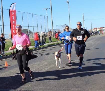  A Happier, Healthier Life With Your Dog Starts With a Conversation