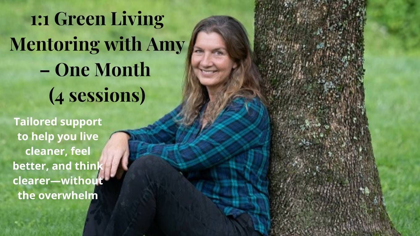 One Month of Coaching with Amy