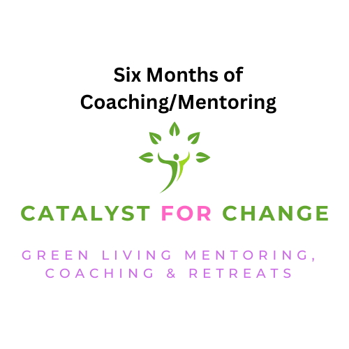 Six Month Coaching Package