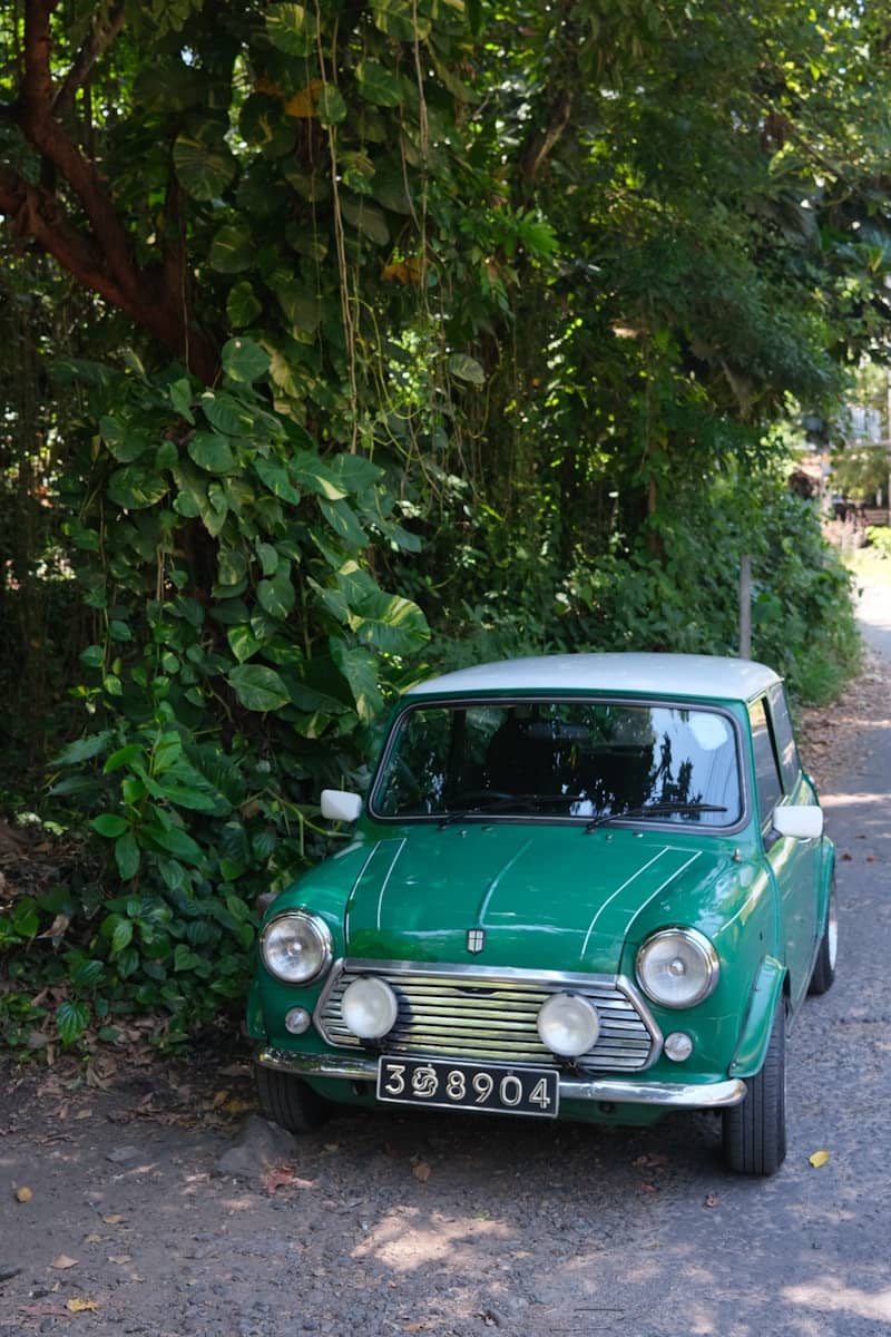 A vintage green mini cooper parked on a dirt road.