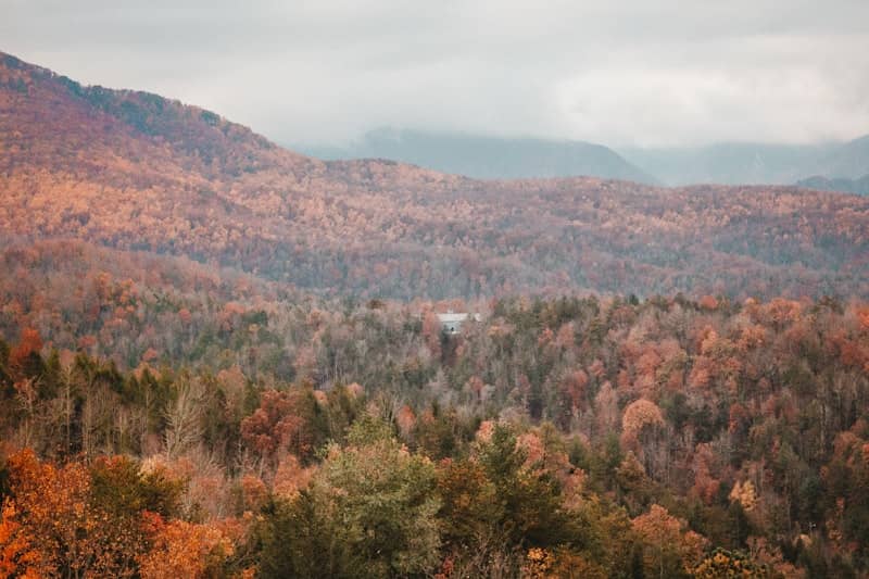 Cabin nestled on a cloudy autumn day in the Smokies.