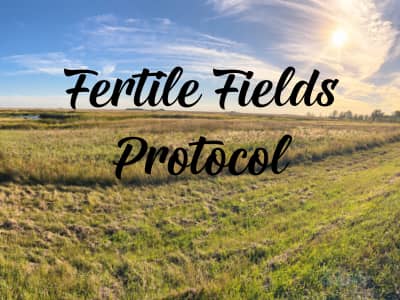 Organic farmland with the sun shining and a feeling of hope