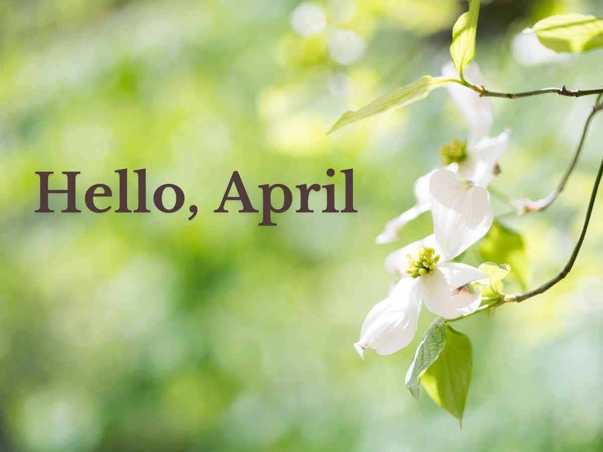 A blooming tree branch with "Hello April" text overlay.