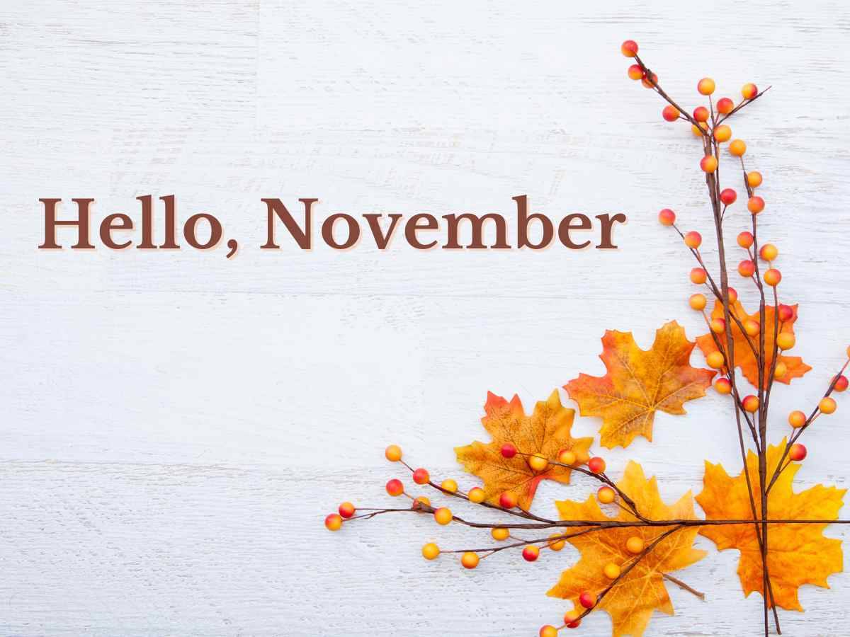 Autumn branches and text overlay: Hello, November