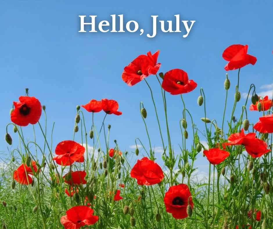 A field of red poppies against a blue sky and "Hello, July" text.