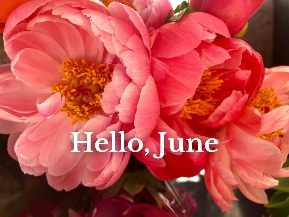 Peach peonies with text overlay Hello June.