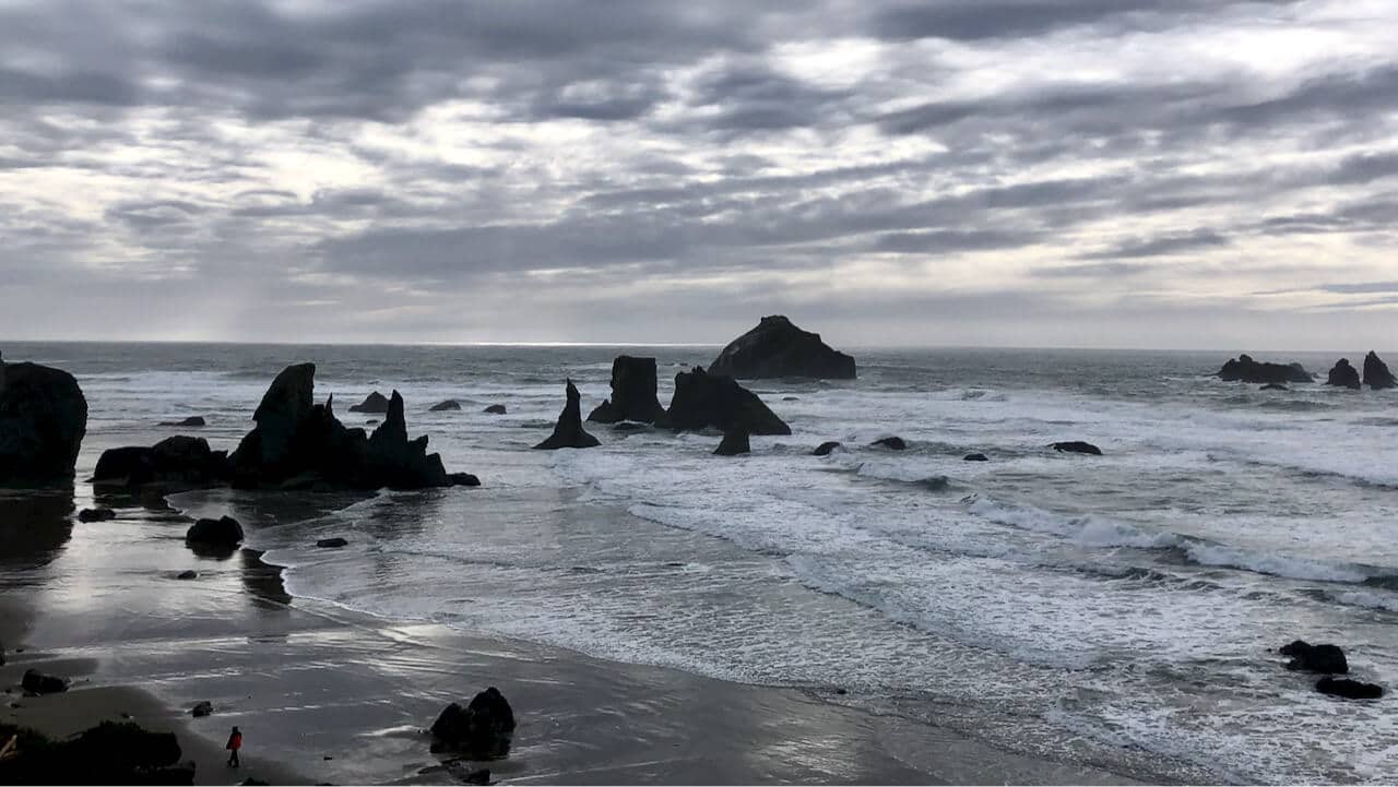 Great spots for family and accessible visits!