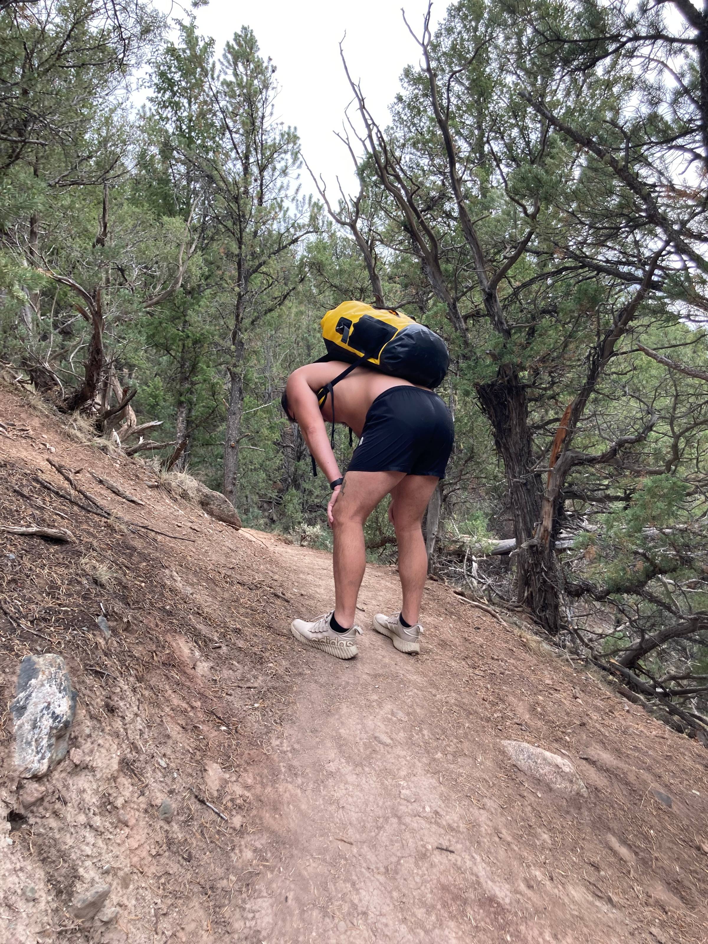 A hiker carrying a yellow backpack doubles over for a break while ascending a dirt trail through a juniper forest.