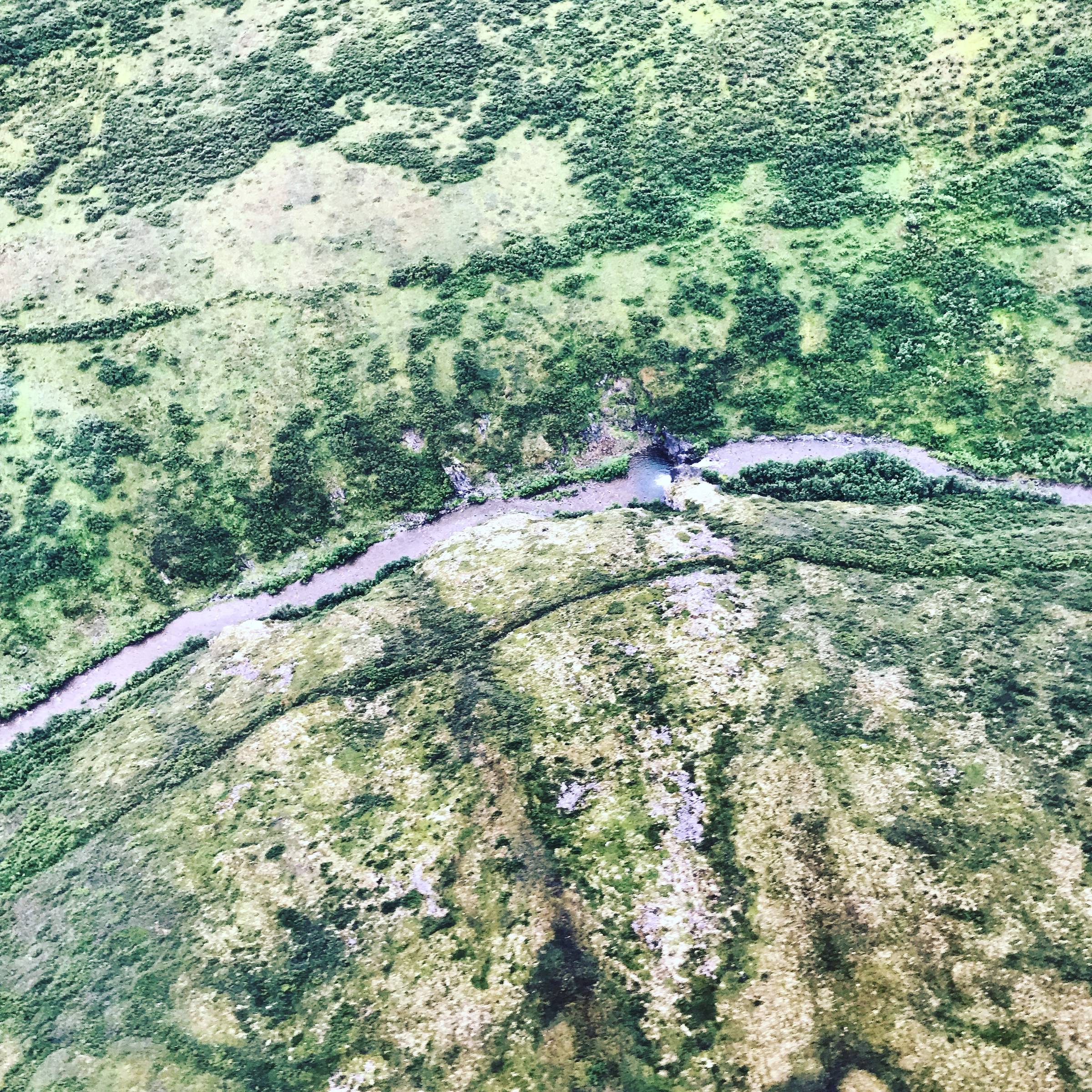 An aerial view of a green high altitude plain spotted in patches of darker green shrubs with a river curving through the middle of the landscape.