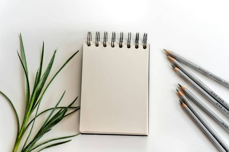 Blank notebook with pencils and green plant