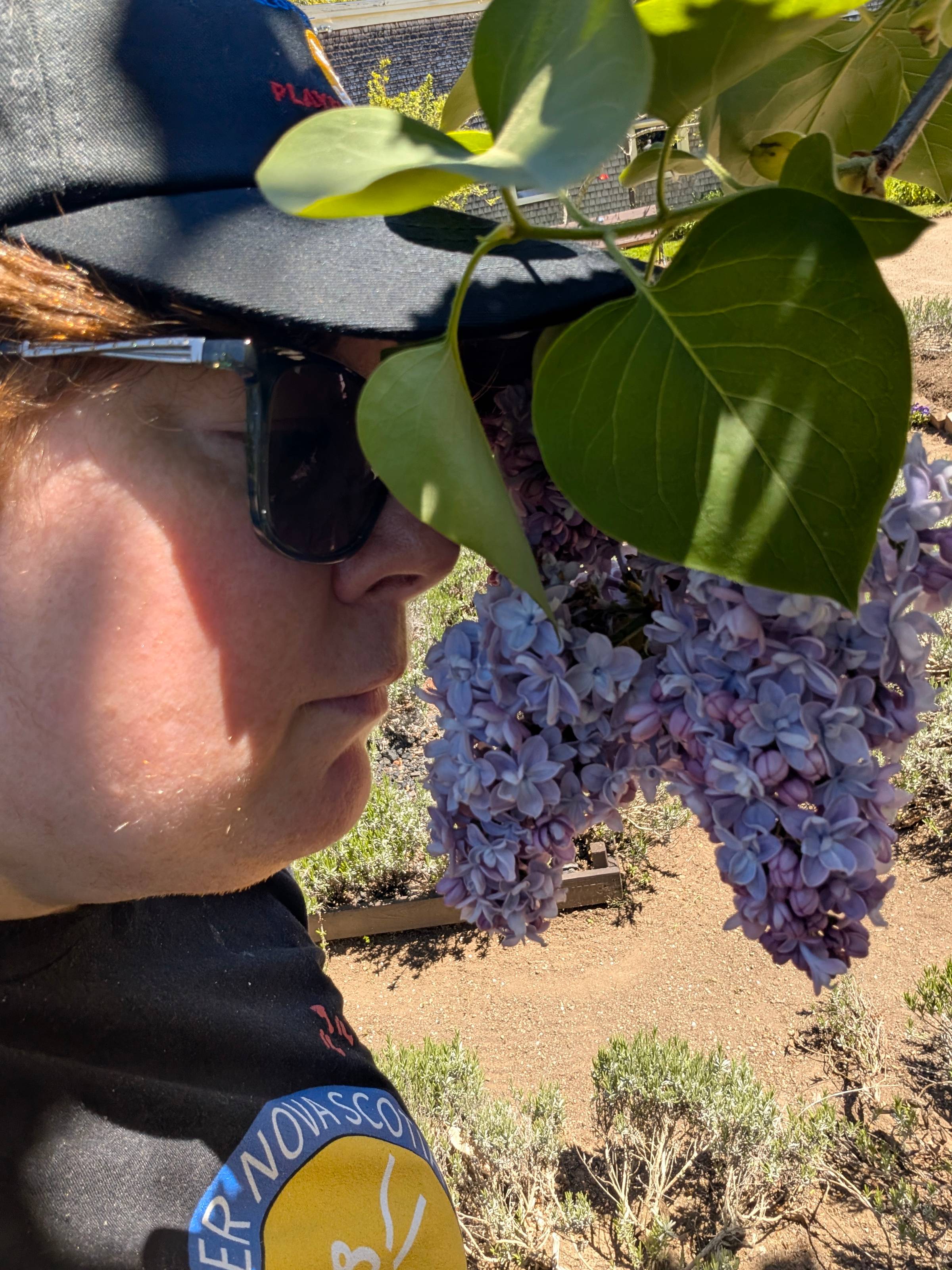 Nancy smelling lilacs