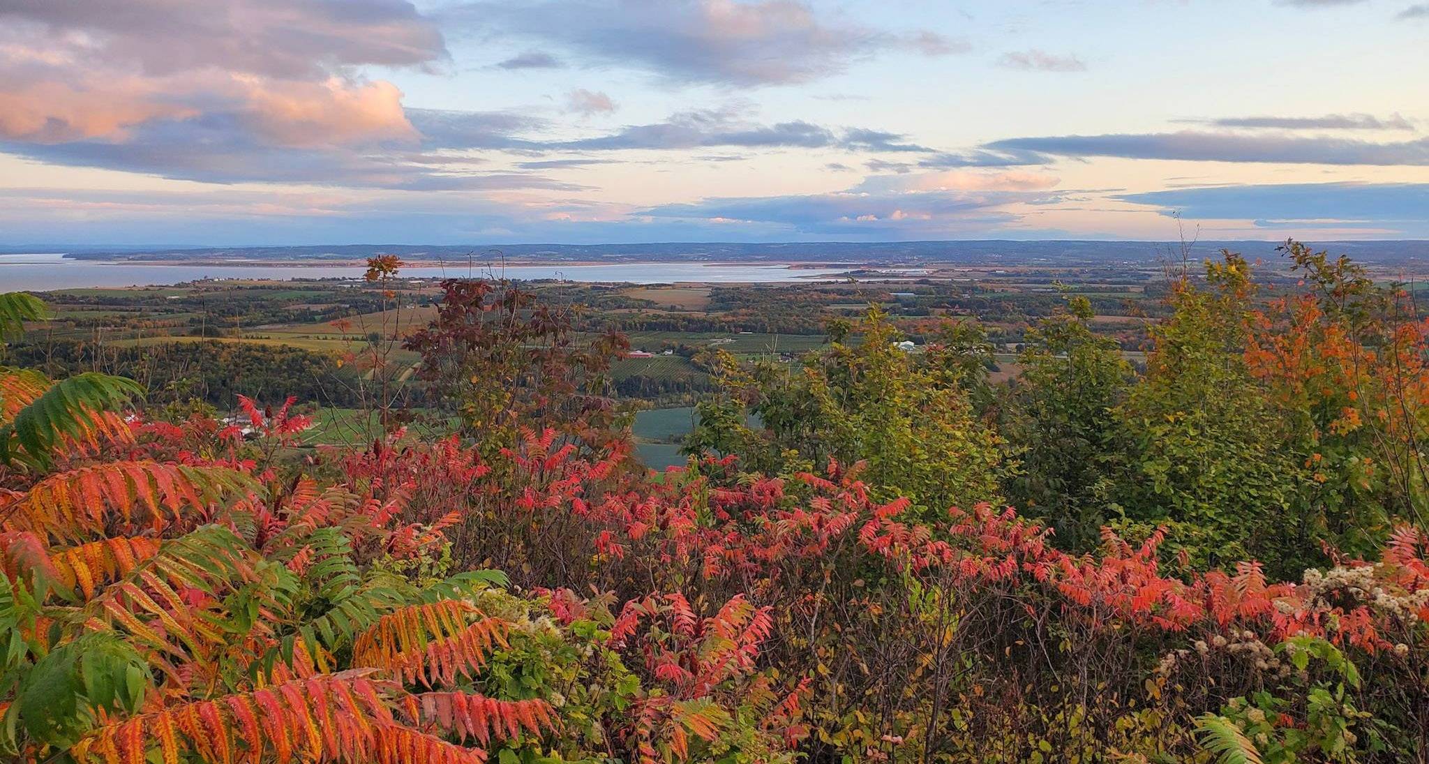 Fall colours seen from the Look Off On the way to Blomidon