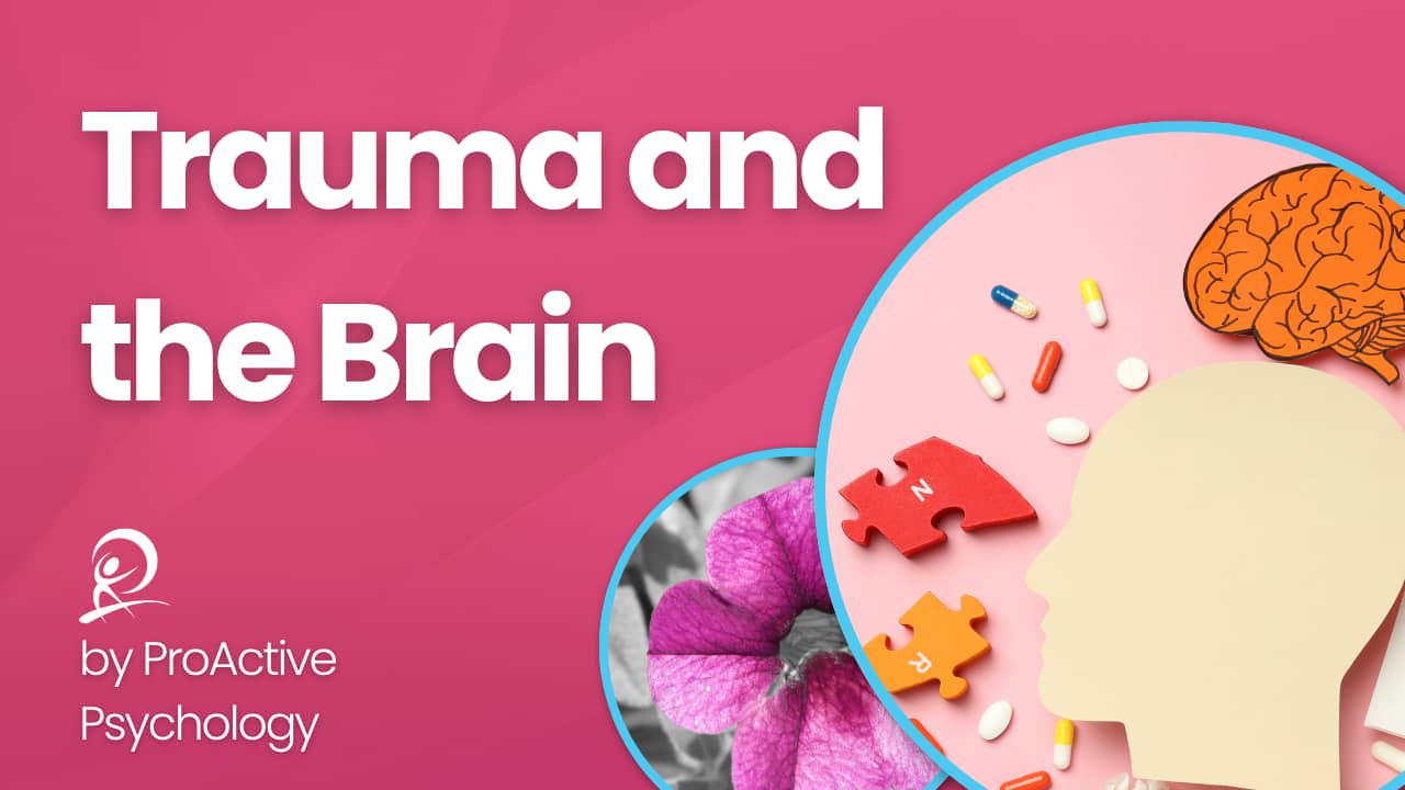 Trauma and the brain