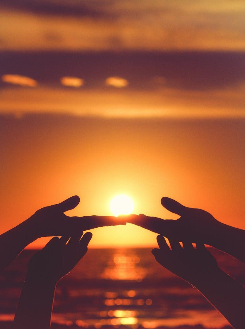 silhouette of persons hand during sunset