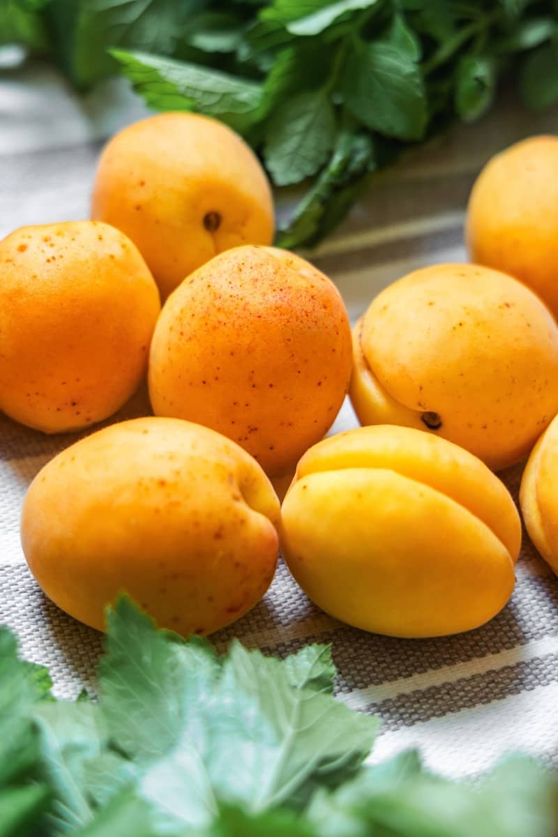 Fresh apricots and mint leaves on a striped cloth.