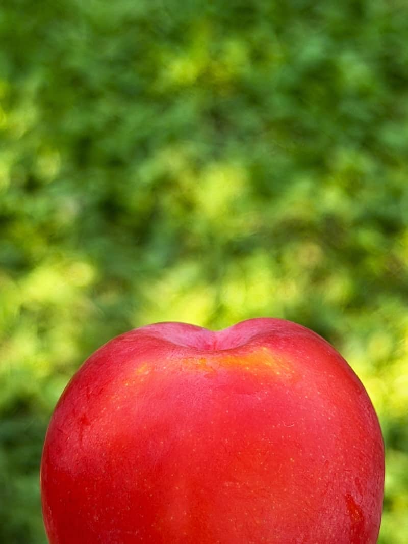 A vibrant red fruit against a blurred green background.