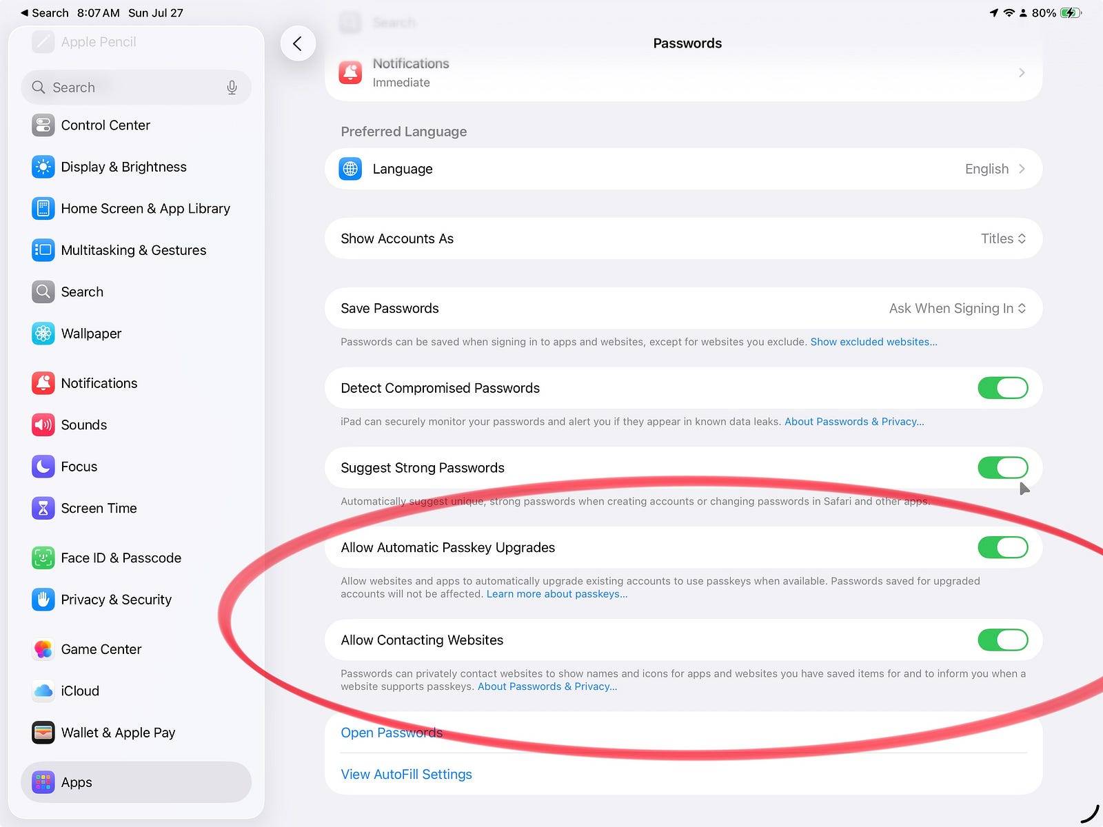 iPad screen showing Passwords settings in iOS 26, with "Allow Automatic Passkey Upgrades" and "Allow Contacting Websites" toggled on and highlighted.