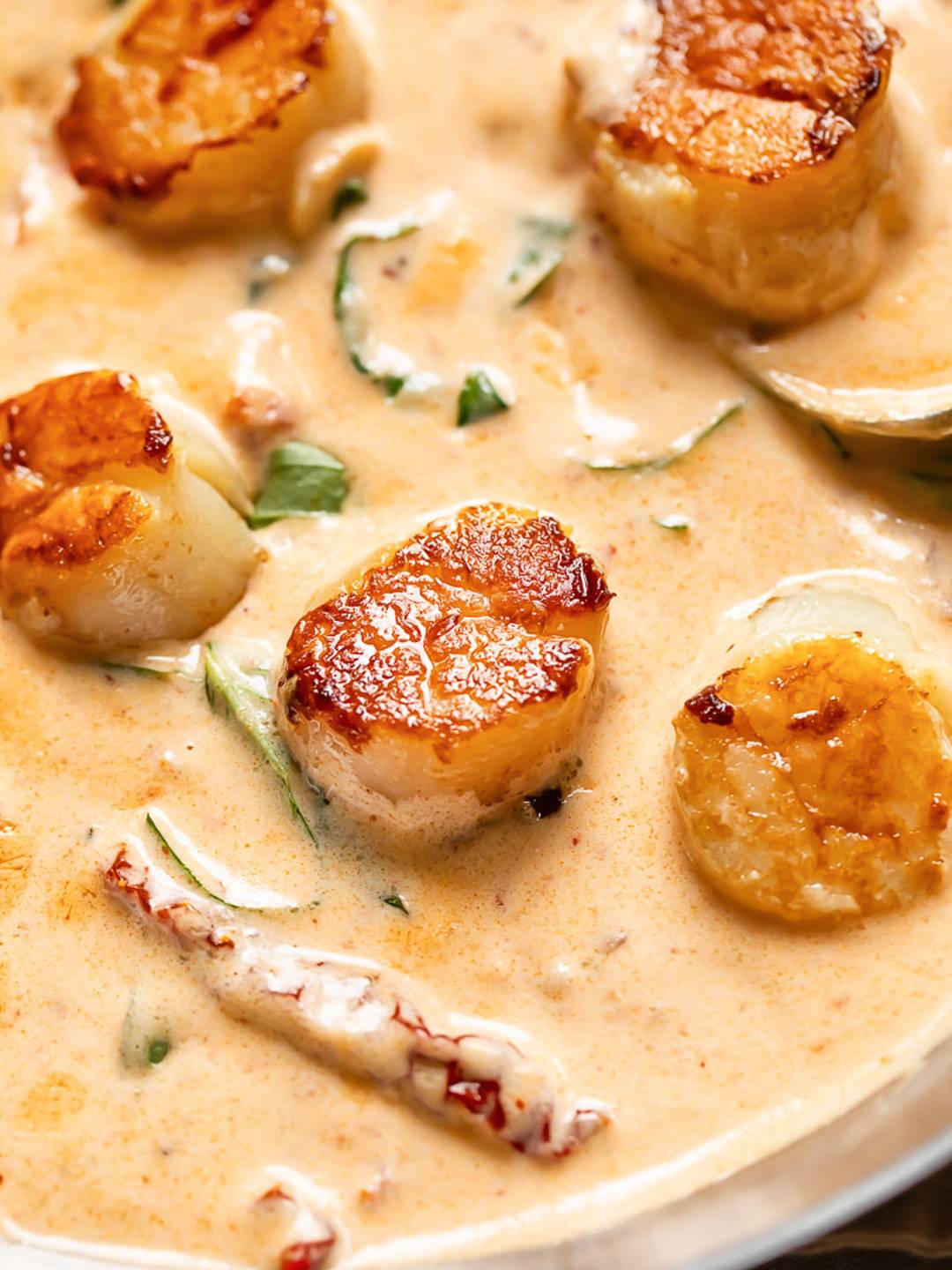 scallops in a light orange cream sauce