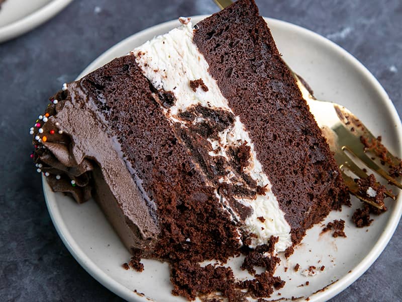 slice of 3 layer cake of chocolate layer, ice cream layer, then chocolate layer on small white plate