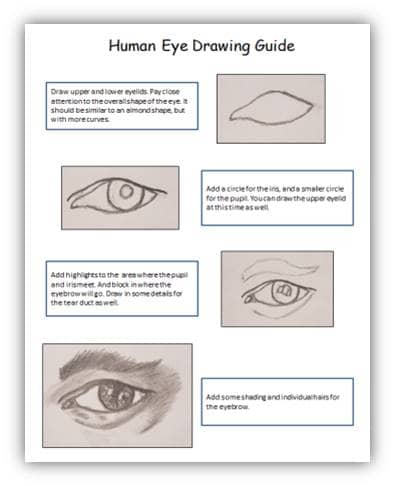 how to draw a human eye step by step