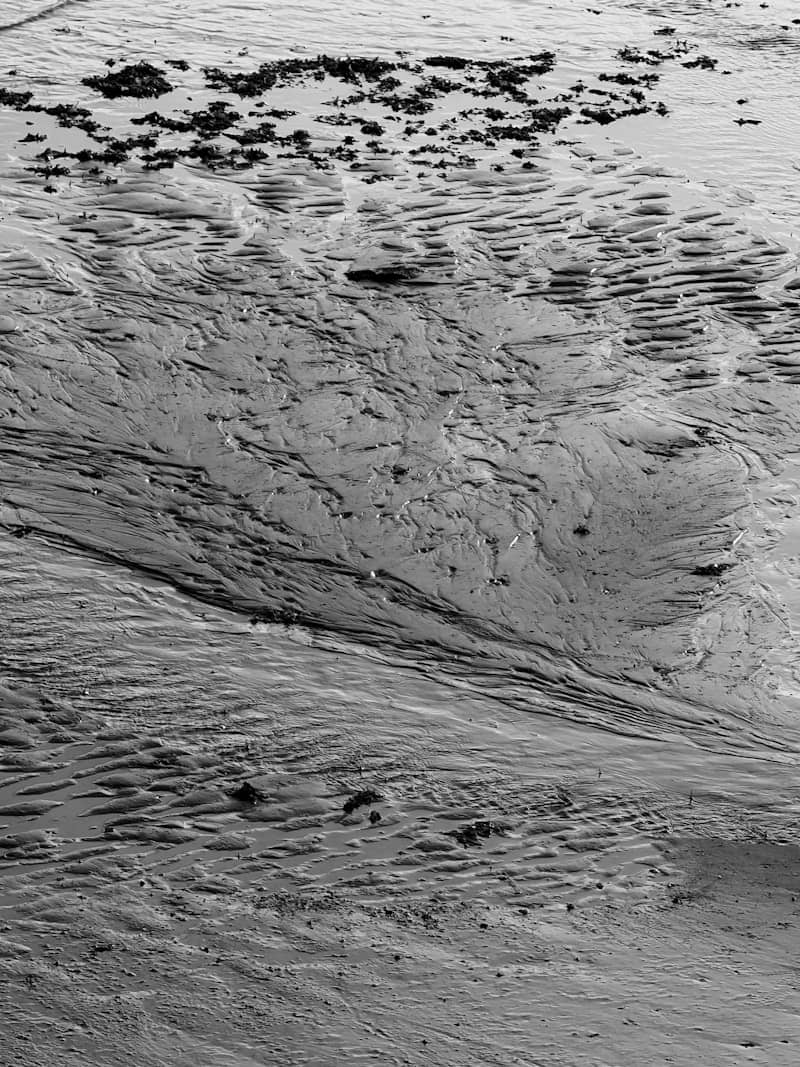 Rippled sand patterns at low tide with seaweed patches. It's easy to get stuck in substances like this, but asking for help goes a long way.