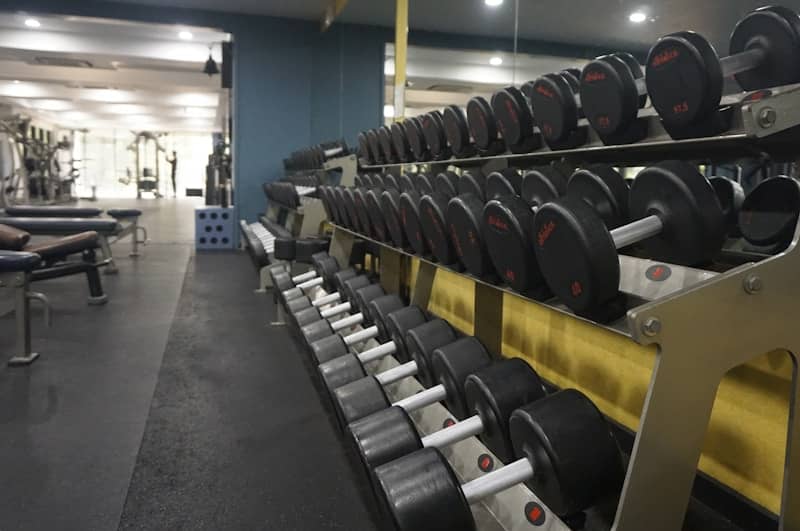 Dumbbells neatly arranged on a rack in a gym.