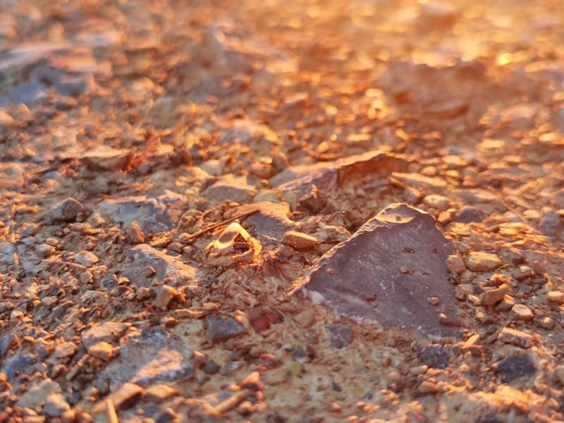 Rocky desert ground illuminated by golden sunlight.