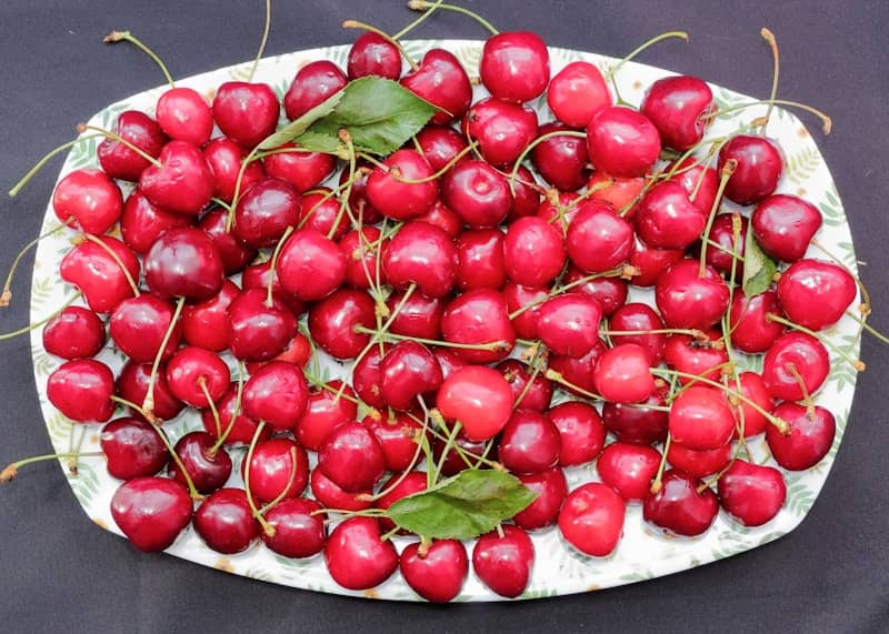 A large pile of fresh red cherries with green stems on a patterned plate