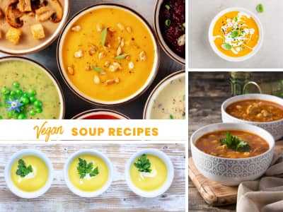 text: vegan soup recipes; images of bowls of different kinds of soup