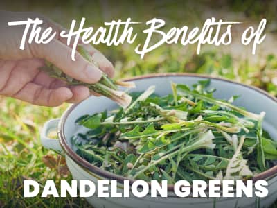 bowl of dandelion greens; text: the health benefits of dandelion greens