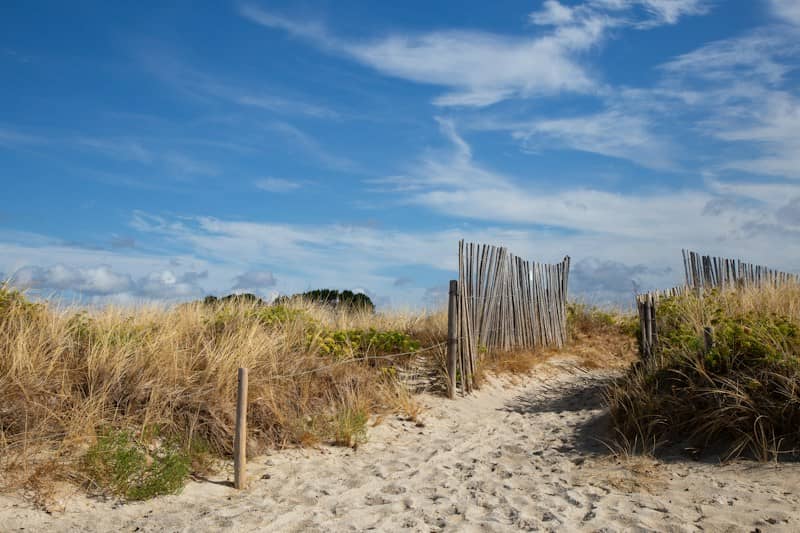 A sandy path through dry dune grass leading to a wooden fence