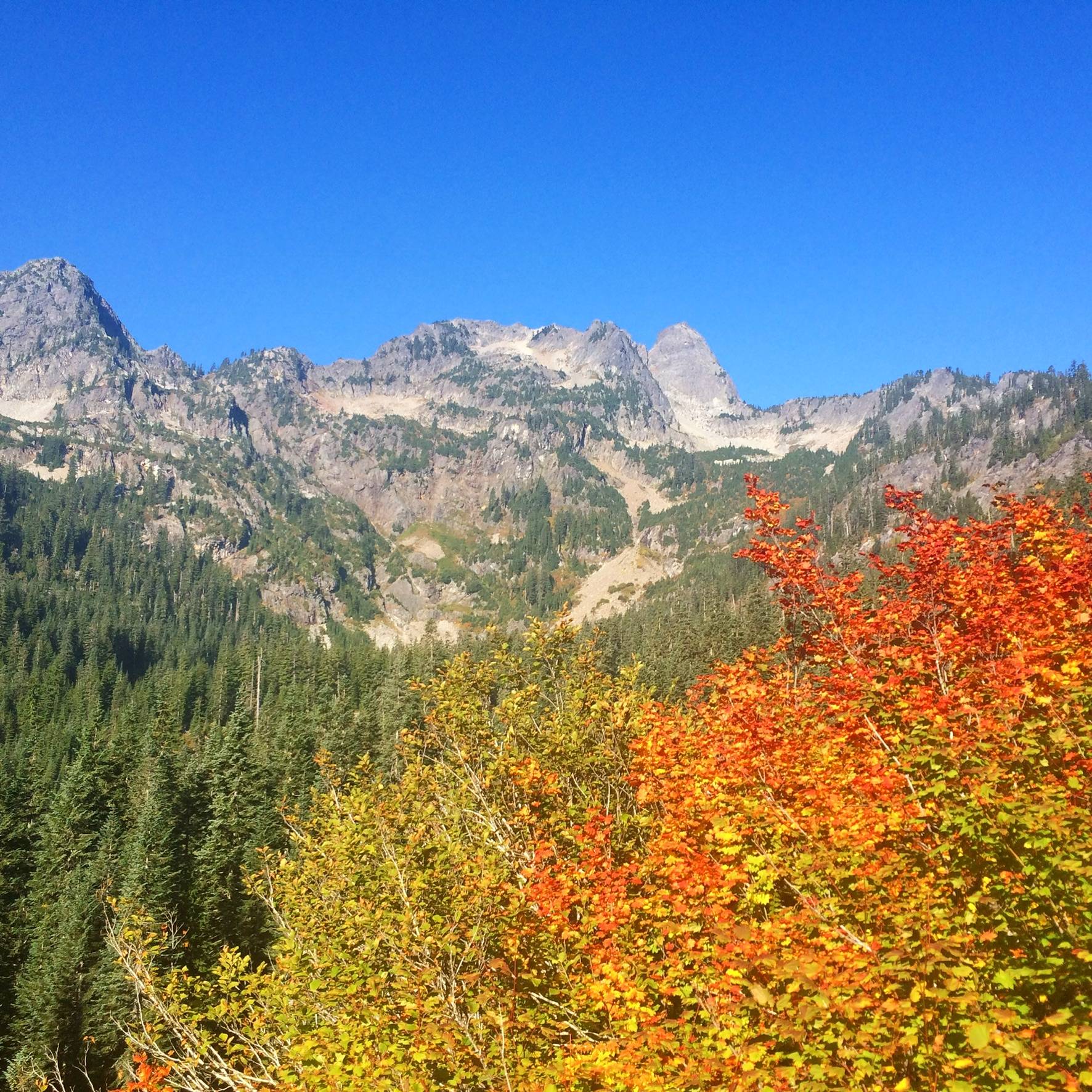 Pacific northwest mountains with fall foliage