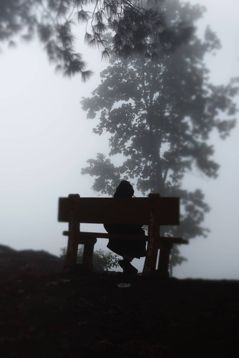 A person sits on a bench in the fog.