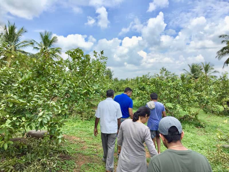 Organic Farmers