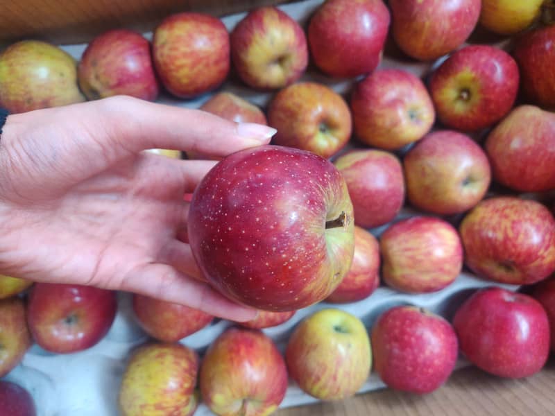 Chemical Free Apples