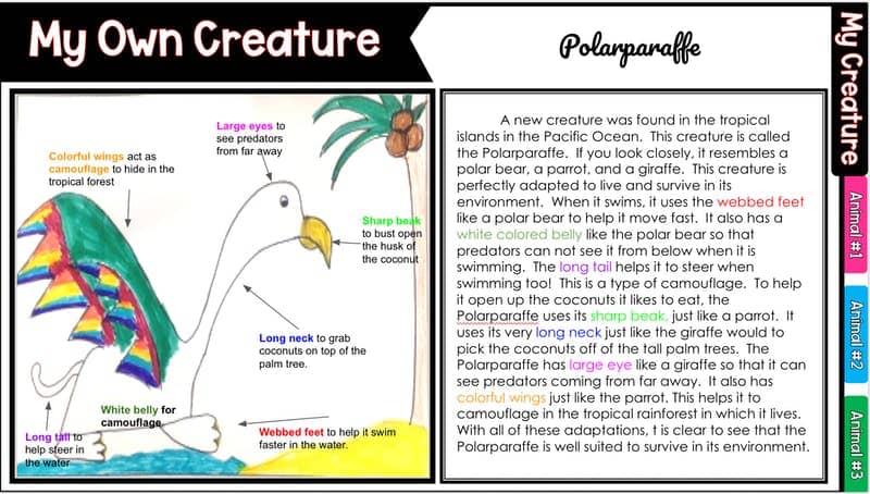 Animal Adaptations Modified Assignment (Project-based Learning Accompanimen