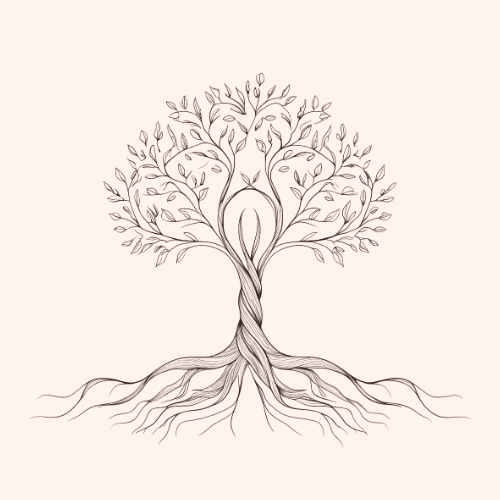 Plant a Seed